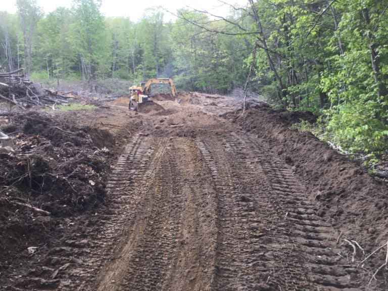 back hoe clearing a lot in the woods